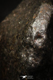 05374 - Partial NWA L-H Type Unclassified Ordinary Chondrite Meteorite 13.3g