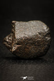 05374 - Partial NWA L-H Type Unclassified Ordinary Chondrite Meteorite 13.3g