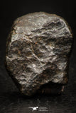 05374 - Partial NWA L-H Type Unclassified Ordinary Chondrite Meteorite 13.3g