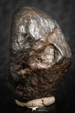 07125 - Fully Complete NWA L-H Type Unclassified Ordinary Chondrite Meteorite 8.9g
