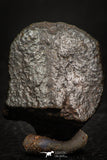 05374 - Partial NWA L-H Type Unclassified Ordinary Chondrite Meteorite 13.3g