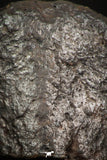 05374 - Partial NWA L-H Type Unclassified Ordinary Chondrite Meteorite 13.3g