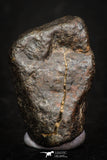 05375 - Fully Complete NWA L-H Type Unclassified Ordinary Chondrite Meteorite 8.5g