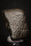 05375 - Fully Complete NWA L-H Type Unclassified Ordinary Chondrite Meteorite 8.5g