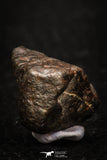 05375 - Fully Complete NWA L-H Type Unclassified Ordinary Chondrite Meteorite 8.5g