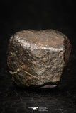 05376 - Fully Complete NWA L-H Type Unclassified Ordinary Chondrite Meteorite 4.3g