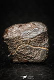 05376 - Fully Complete NWA L-H Type Unclassified Ordinary Chondrite Meteorite 4.3g