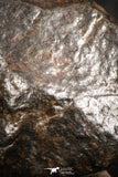 07128 - Fully Complete NWA L-H Type Unclassified Ordinary Chondrite Meteorite 6.6g