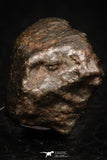 05376 - Fully Complete NWA L-H Type Unclassified Ordinary Chondrite Meteorite 4.3g