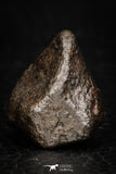 05377 - Fully Complete NWA L-H Type Unclassified Ordinary Chondrite Meteorite 9.2g