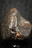 07129 - Fully Complete NWA L-H Type Unclassified Ordinary Chondrite Meteorite 9.1g