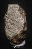 05378 - Fully Complete NWA L-H Type Unclassified Ordinary Chondrite Meteorite 6.6g
