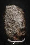 05378 - Fully Complete NWA L-H Type Unclassified Ordinary Chondrite Meteorite 6.6g