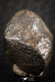 07130 - Fully Complete NWA L-H Type Unclassified Ordinary Chondrite Meteorite 5.0g