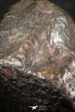 07130 - Fully Complete NWA L-H Type Unclassified Ordinary Chondrite Meteorite 5.0g