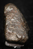 05379 - Fully Complete NWA L-H Type Unclassified Ordinary Chondrite Meteorite 9.9g