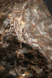 07131 - Fully Complete NWA L-H Type Unclassified Ordinary Chondrite Meteorite 17.3g