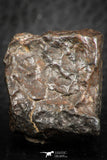 07131 - Fully Complete NWA L-H Type Unclassified Ordinary Chondrite Meteorite 17.3g