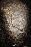 05381 - Fully Complete NWA L-H Type Unclassified Ordinary Chondrite Meteorite 8.4g