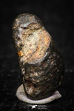 05382 - Fully Complete NWA L-H Type Unclassified Ordinary Chondrite Meteorite 3.0g