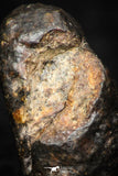 05382 - Fully Complete NWA L-H Type Unclassified Ordinary Chondrite Meteorite 3.0g