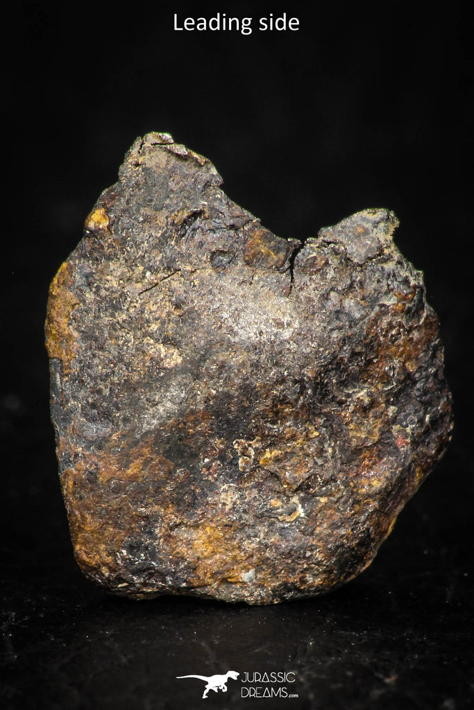 05384 - Agoudal Imilchil Iron IIAB Meteorite <1g ORIENTED Collector Grade