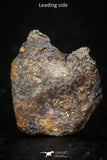05384 - Agoudal Imilchil Iron IIAB Meteorite <1g ORIENTED Collector Grade