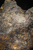05384 - Agoudal Imilchil Iron IIAB Meteorite <1g ORIENTED Collector Grade