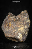 05384 - Agoudal Imilchil Iron IIAB Meteorite <1g ORIENTED Collector Grade