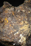 05384 - Agoudal Imilchil Iron IIAB Meteorite <1g ORIENTED Collector Grade