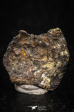 05384 - Agoudal Imilchil Iron IIAB Meteorite <1g ORIENTED Collector Grade