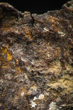 05384 - Agoudal Imilchil Iron IIAB Meteorite <1g ORIENTED Collector Grade