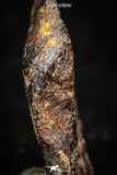 05384 - Agoudal Imilchil Iron IIAB Meteorite <1g ORIENTED Collector Grade