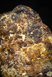05385 - Agoudal Imilchil Iron IIAB Meteorite <1g ORIENTED Collector Grade