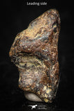 05386 - Agoudal Imilchil Iron IIAB Meteorite <1g ORIENTED Collector Grade