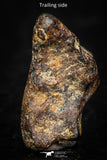 05386 - Agoudal Imilchil Iron IIAB Meteorite <1g ORIENTED Collector Grade