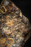 05386 - Agoudal Imilchil Iron IIAB Meteorite <1g ORIENTED Collector Grade