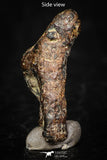 05386 - Agoudal Imilchil Iron IIAB Meteorite <1g ORIENTED Collector Grade