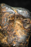 05387 - Agoudal Imilchil Iron IIAB Meteorite 2.6g Collector Grade