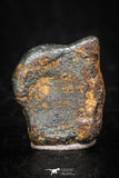 05387 - Agoudal Imilchil Iron IIAB Meteorite 2.6g Collector Grade