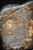 05387 - Agoudal Imilchil Iron IIAB Meteorite 2.6g Collector Grade