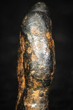 05387 - Agoudal Imilchil Iron IIAB Meteorite 2.6g Collector Grade