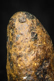 05388 - Agoudal Imilchil Iron IIAB Meteorite 3.6g Collector Grade