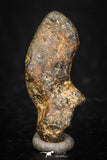 05389 - Agoudal Imilchil Iron IIAB Meteorite 3.2g Collector Grade