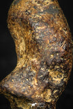 05389 - Agoudal Imilchil Iron IIAB Meteorite 3.2g Collector Grade