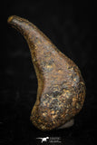 05391 - Agoudal Imilchil Iron IIAB Meteorite 4.3g Collector Grade
