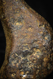 05391 - Agoudal Imilchil Iron IIAB Meteorite 4.3g Collector Grade