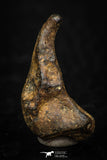 05391 - Agoudal Imilchil Iron IIAB Meteorite 4.3g Collector Grade
