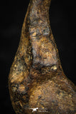 05391 - Agoudal Imilchil Iron IIAB Meteorite 4.3g Collector Grade