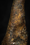 05391 - Agoudal Imilchil Iron IIAB Meteorite 4.3g Collector Grade